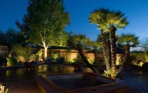 hardscapes-and-landscapes-07